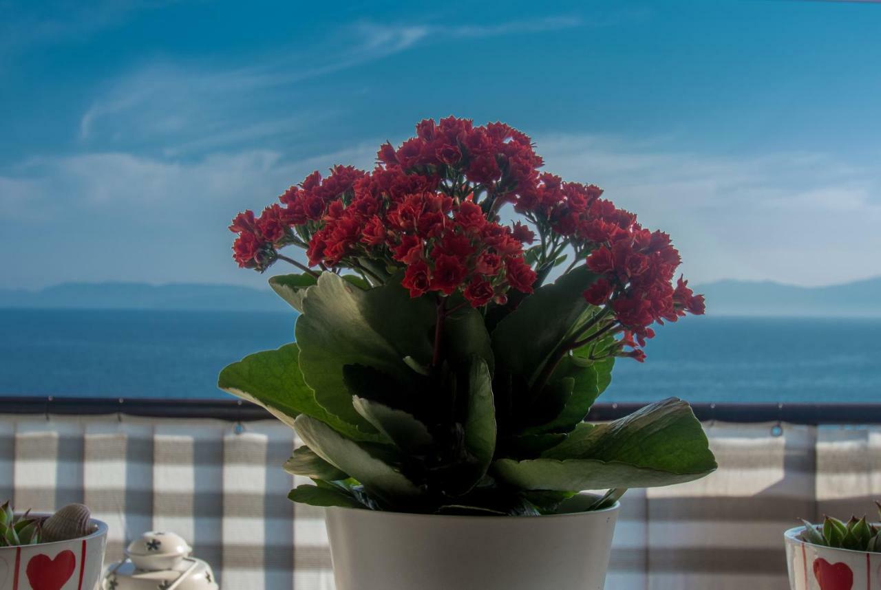Apartment Paradise View Риека Экстерьер фото